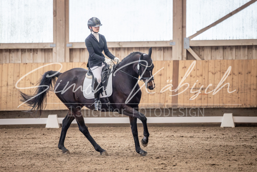 20251011-_3LI0289 | Tierfotografie Pferde, Hunde, Katzen, Haustiere.
Turnierfotografie Reitturniere, Reiten, Springreiten, Dressur in Hanau, dem Main-Kinzig-Kreis und dem Rhein-Main- Gebiet um Frankfurt