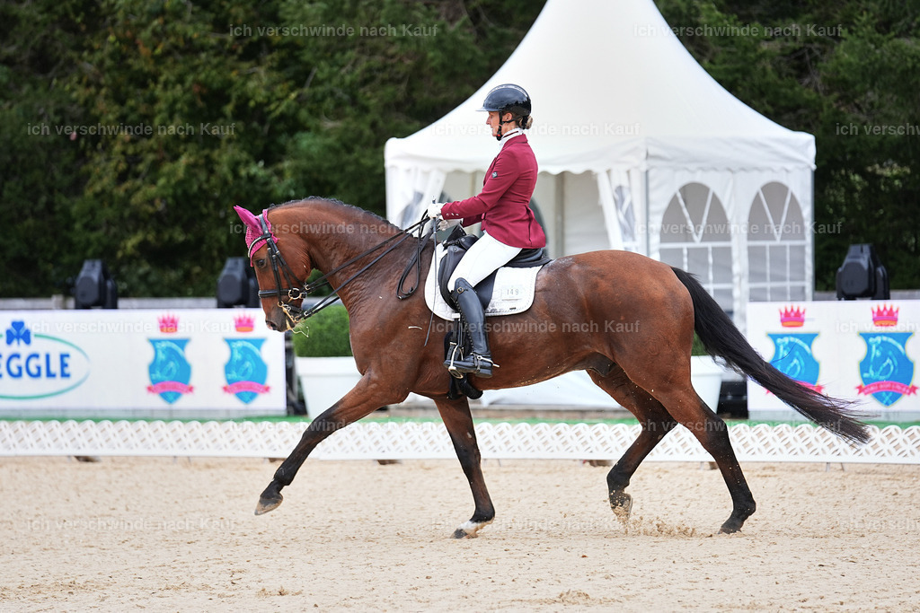 04_1-149-Dressur M__ -Marixx-2788 | working equitationturnier fotograf videograf stoibphotography marixx film working equitation deutschland reitsport turnierfotografie eventfotografie equestrian events
