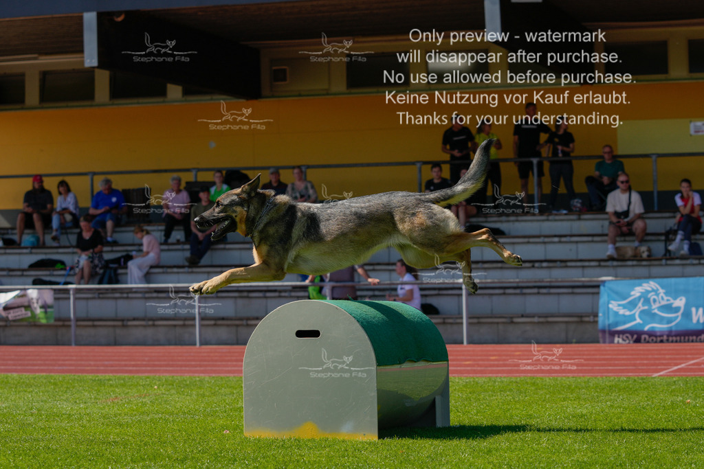 Sonntag_VK Hindernis (163 von 671) | stephaniefillaphotographie - Realisiert mit Pictrs.com