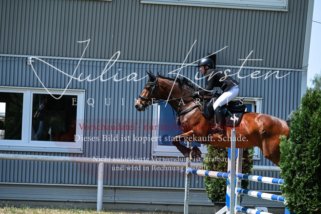 DSC_0054 | Pferde- und Turnierfotografie in Westsachsen. Pferdeportraits, Auftragszeichnungen und intuitive Kunst.