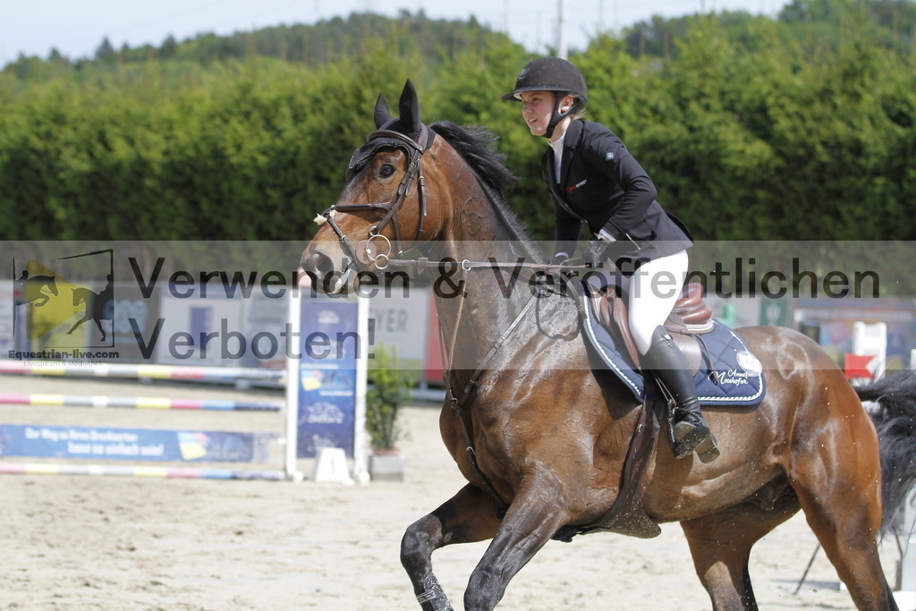 _MG_3398 | equestrian-live-com