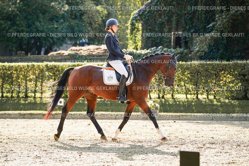 DSC06705 | Pferdegrafie