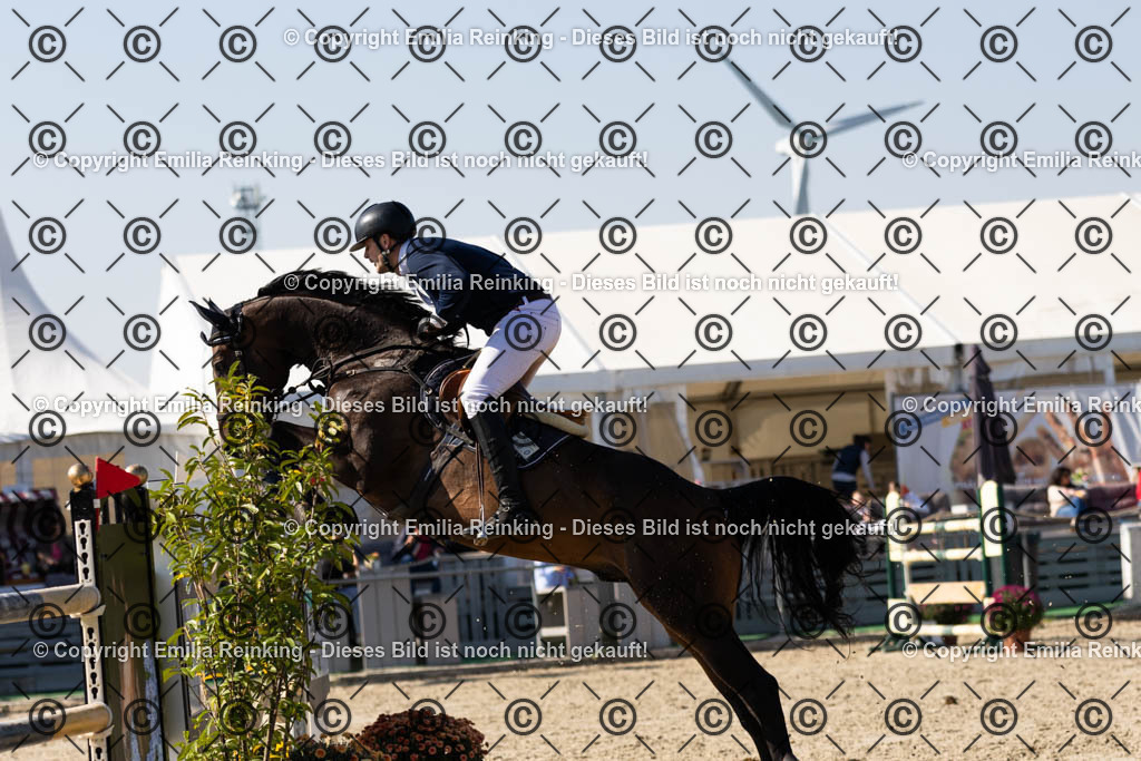 CL5A6505 | Emilia Reinking Fotografie - Realisiert mit Pictrs.com