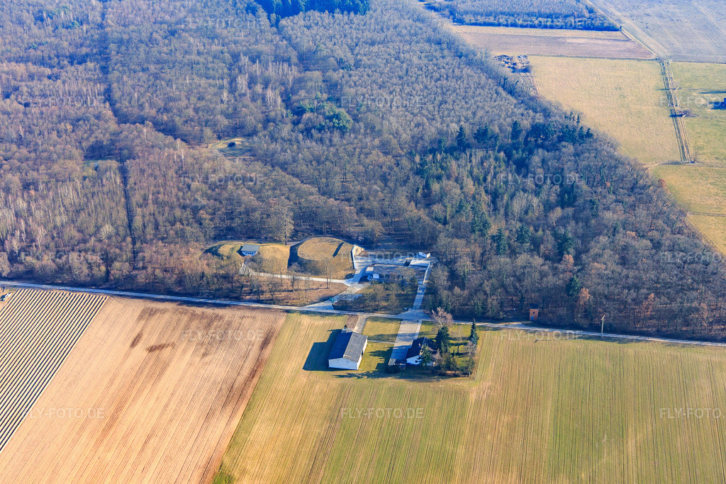 Luftbild: Wasserwerk Gernsheim am Waldrand in Gernsheim im Bundesland Hessen in Deutschland. Foto: IMG_096591.jpg vom 14.02.2017 durch Werner Riehm/FLY-FOTO.de