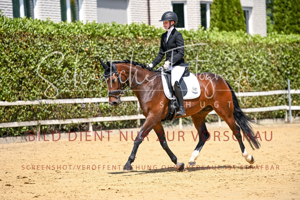 Schugtsche-Aluta25-49.Dressurpferdeprf.A-193 | Schugtsche Fotografie - Realisiert mit Pictrs.com