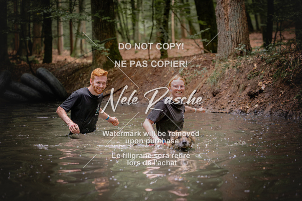 nelerasche_SaWingst1530-1600_123 | nelerasche