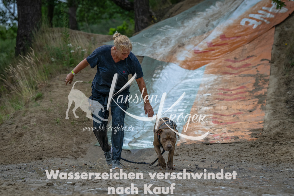 1650_ZZ90635-Bearbeitet | kk-dogfotos