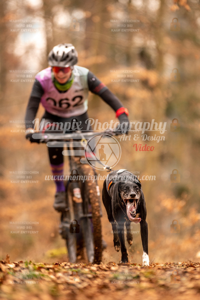 AKM_ST_2023_SAM_Bike-33 | PayLife