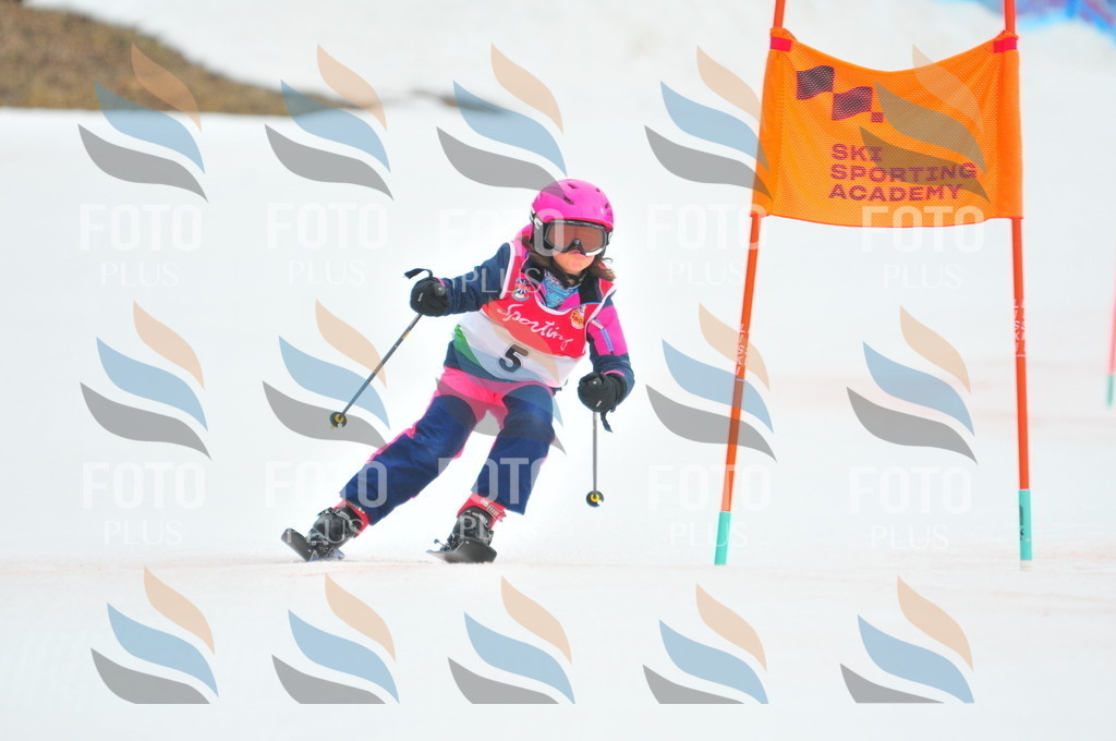 C0555 | holidayphoto