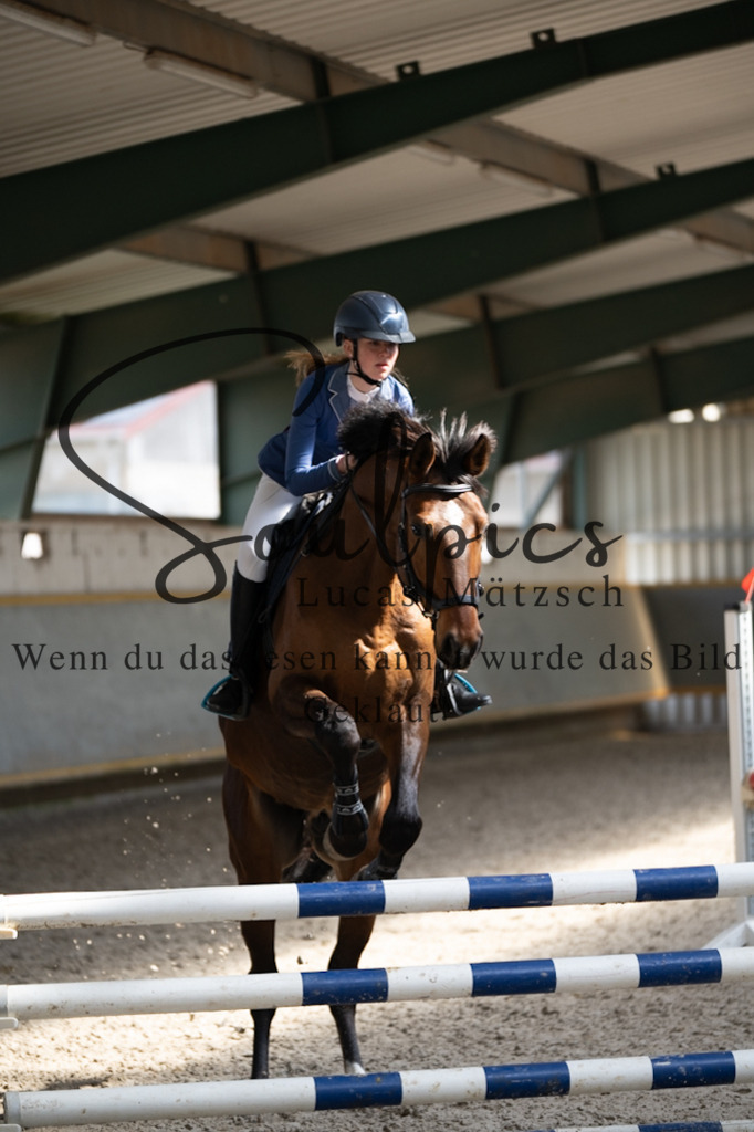 A7V08101 | Pferdefotograf