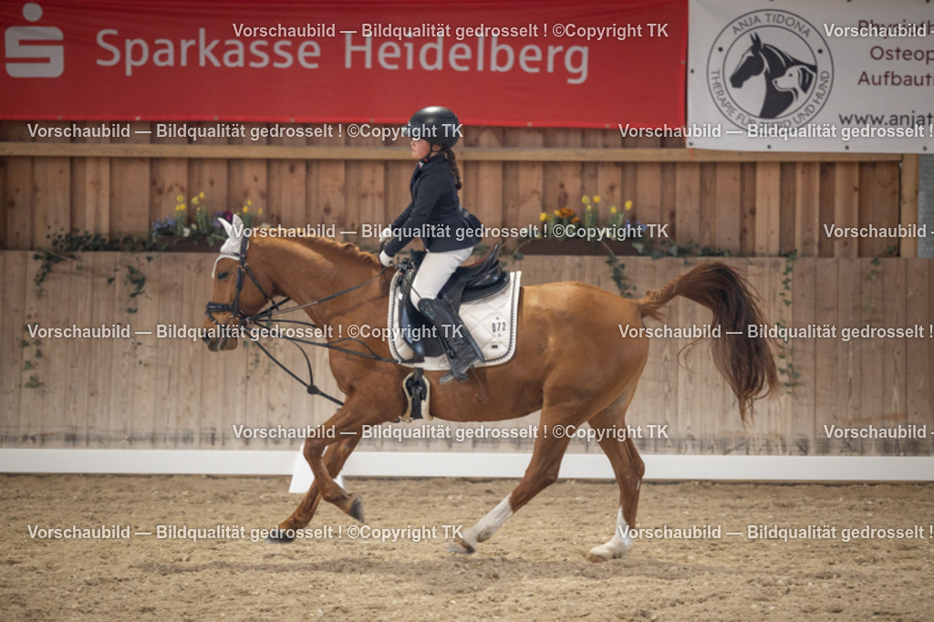 _D5A5737 | Emotionale Pferde- & People-Fotografie rund um Heidelberg, Leimen & Umgebung. Natürliche Fotos von Pferd, Mensch & Familie. Jetzt Termin sichern!