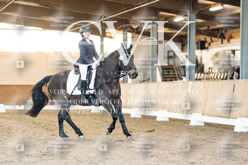 CK906731 | Turnierfotografie Pferdefotografie Trier Rheinland-Pfalz Pferdesport Reitsport Tierfotografie Sportfotografie Pferdevideo Pferdevideografie Equestrianvideography equestrianphotography  - Realisiert mit Pictrs.com