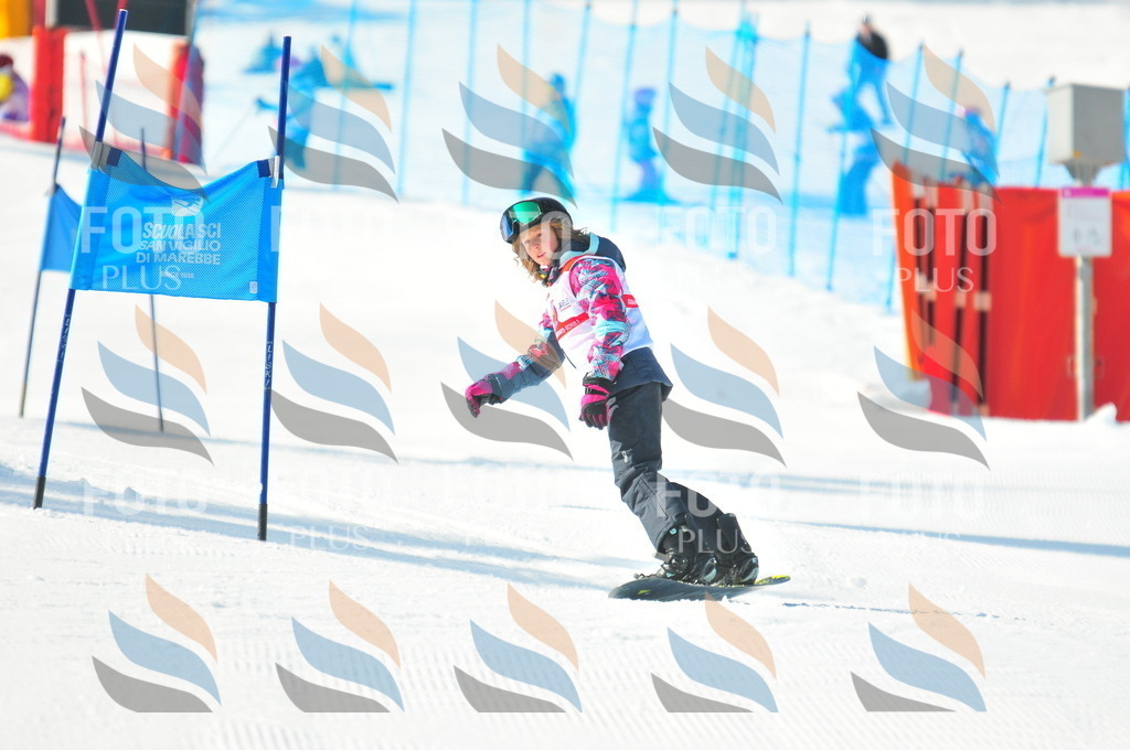 B8708 | holidayphoto