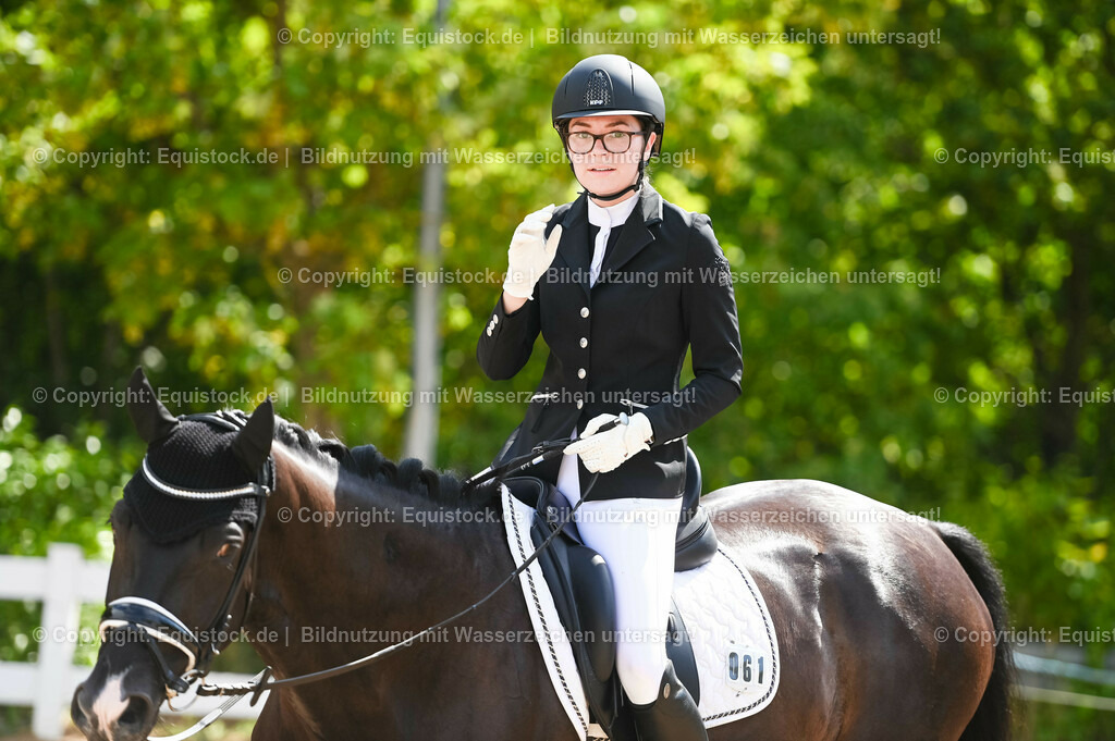 20230715_07_Dressurpferdeprfg. Kl.L_0192 | equistock