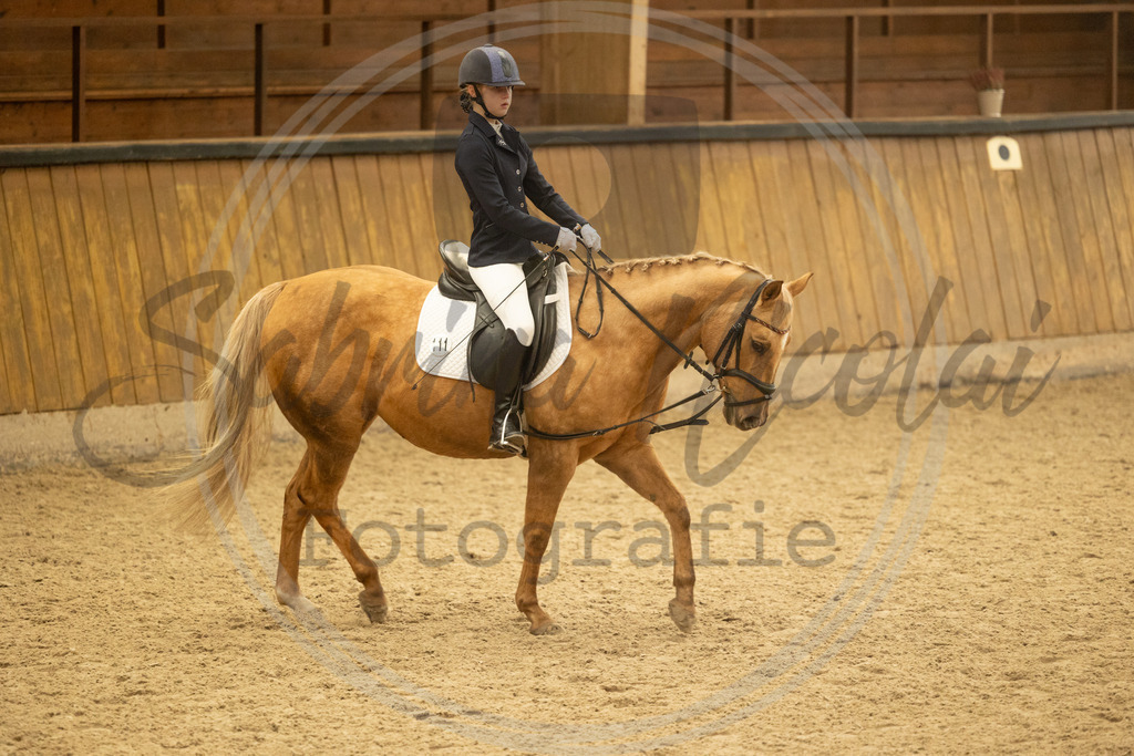 994A4511 | sabrinanicolaifotografie - Realisiert mit Pictrs.com