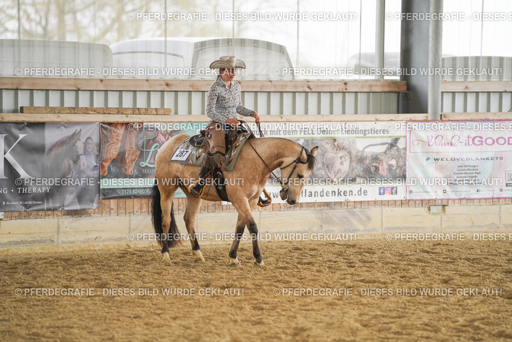 DSC06278 | Pferdegrafie