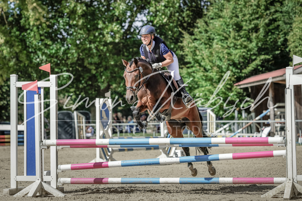 20250906-_3LI6529 | Tierfotografie Pferde, Hunde, Katzen, Haustiere.
Turnierfotografie Reitturniere, Reiten, Springreiten, Dressur in Hanau, dem Main-Kinzig-Kreis und dem Rhein-Main- Gebiet um Frankfurt