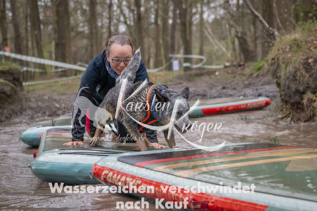 1153_ZZ90230-Bearbeitet | kk-dogfotos