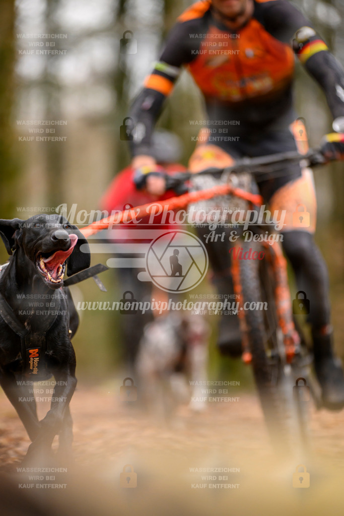 MompixPhotography_Habay2024_SA_Bike-49 | PayLife