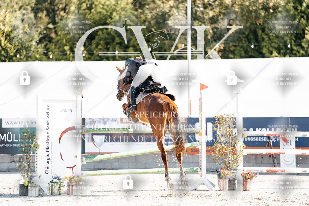 CK901787 | Turnierfotografie Pferdefotografie Trier Rheinland-Pfalz Pferdesport Reitsport Tierfotografie Sportfotografie Pferdevideo Pferdevideografie Equestrianvideography equestrianphotography  - Realisiert mit Pictrs.com