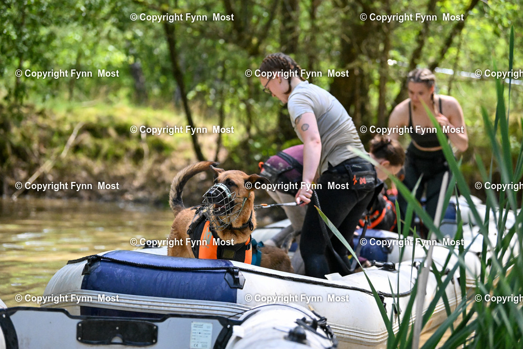 DSC_5784 | Hallo und herzlich Willkommen auf meiner Shop-Seite Fynn Most.

Ich wünsche Dir viel Spaß beim stöbern durch die Bilder, wenn Du Fragen hast oder Bilder vermisst, kannst du mir gerne eine Nachricht schreiben. - Realisiert mit Pictrs.com