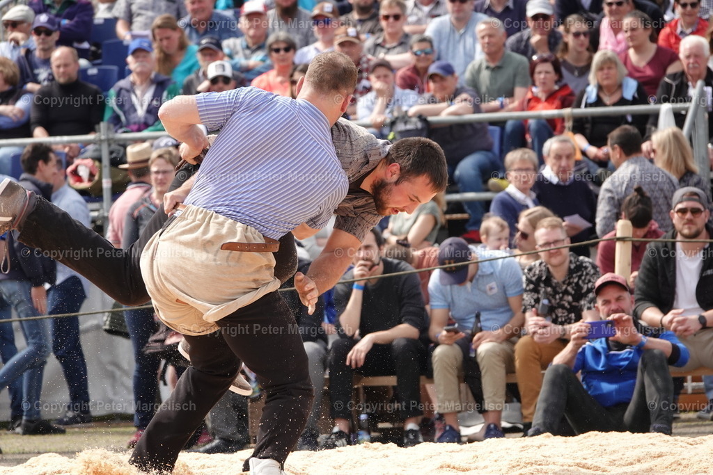 DSC03647 | Schwingen - Realisiert mit Pictrs.com