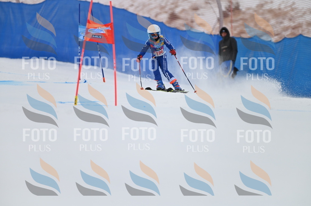 BGV_1214 | holidayphoto