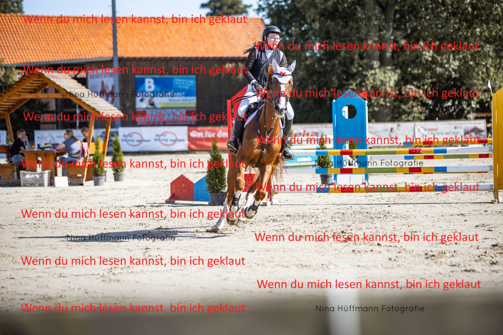 BK1A7081 | Turnierbilder Turnierfotos Nina Hüffmann Turnierfotografie Pferdefotografie Tierzeichnung Haustierzeichnung Pferdezeichnung Hundezeichnung Videograf  - Realisiert mit Pictrs.com
