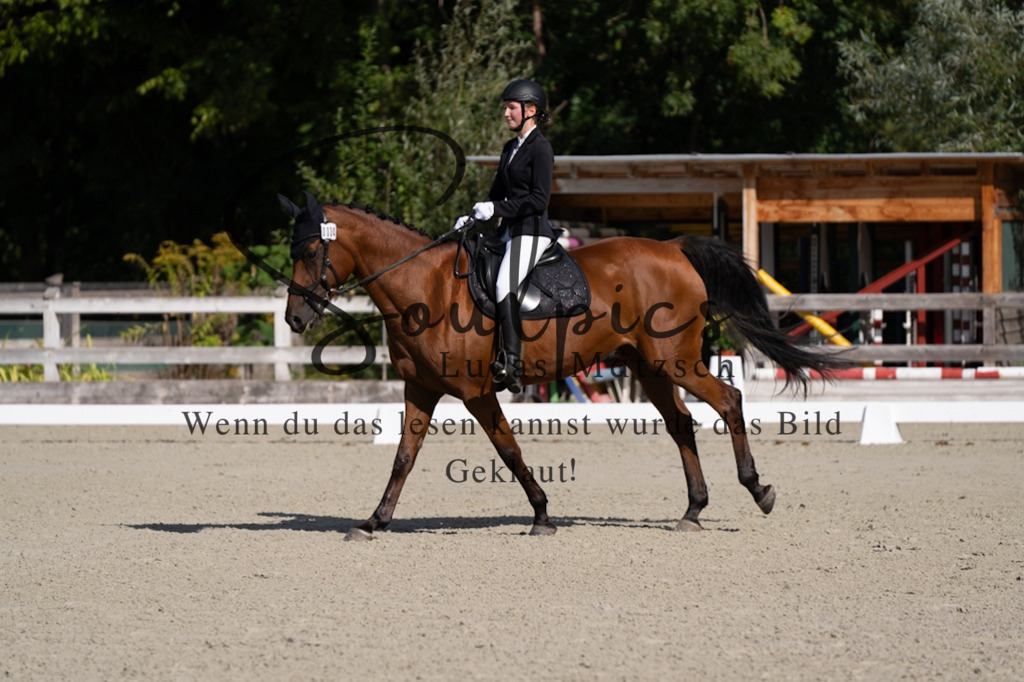 A7V06956 | Turnier/Reitfotograf