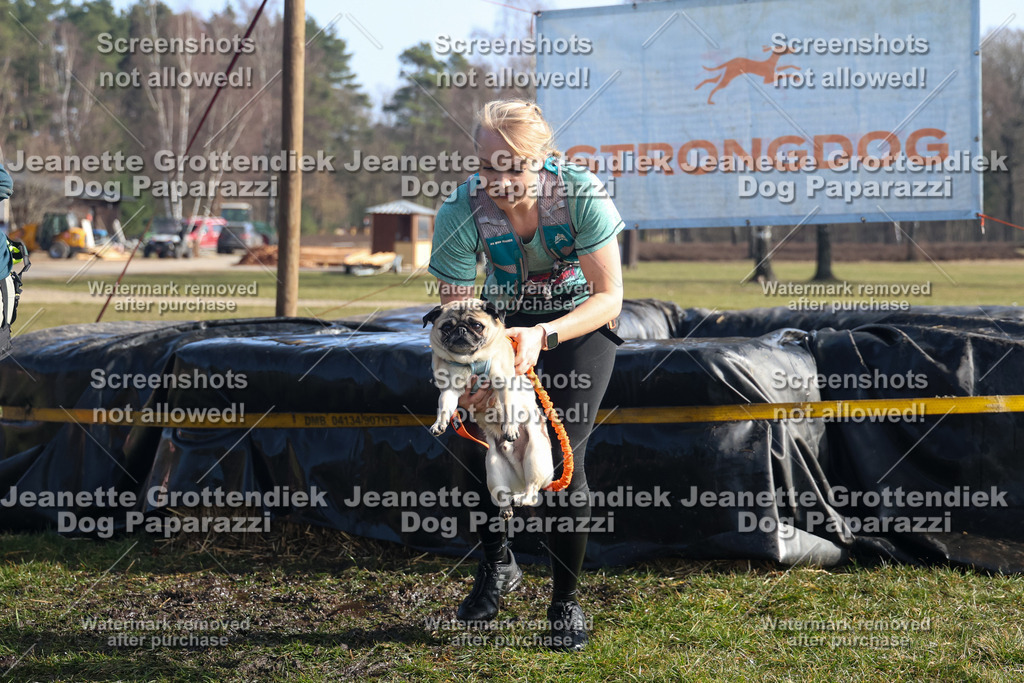 Dog Paparazzi - Strongdog North Mrz26-1339 | Dog Paparazzi Jeanette Grottendiek Fotografie & Videografie - Realisiert mit Pictrs.com