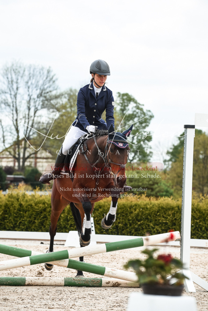 20230518_JK-Röhrsdorf-10-581 | Pferde- und Turnierfotografie in Westsachsen. Pferdeportraits, Auftragszeichnungen und intuitive Kunst.
