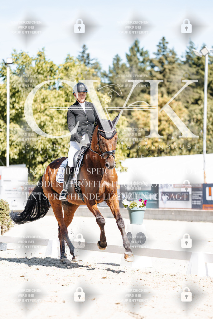 CK909210 | Turnierfotografie Pferdefotografie Trier Rheinland-Pfalz Pferdesport Reitsport Tierfotografie Sportfotografie Pferdevideo Pferdevideografie Equestrianvideography equestrianphotography  - Realisiert mit Pictrs.com