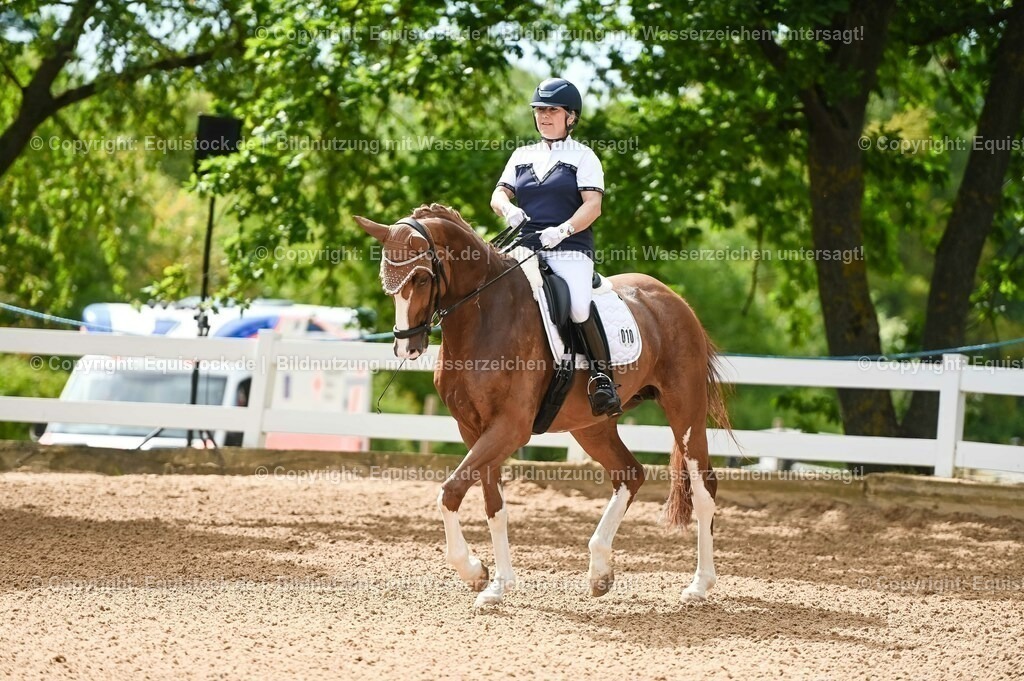 20230715_07_Dressurpferdeprfg. Kl.L_0020 | equistock