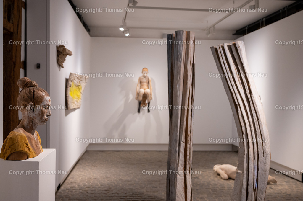 DSC_9376 | Museum Bensheim, Ausstellung Jochen Walpoth, 