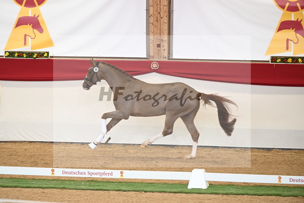 Kat.-Nr. 55 v. Ellis_Senf _ Kampmann_2250406 | hf-fotografie - Realisiert mit Pictrs.com