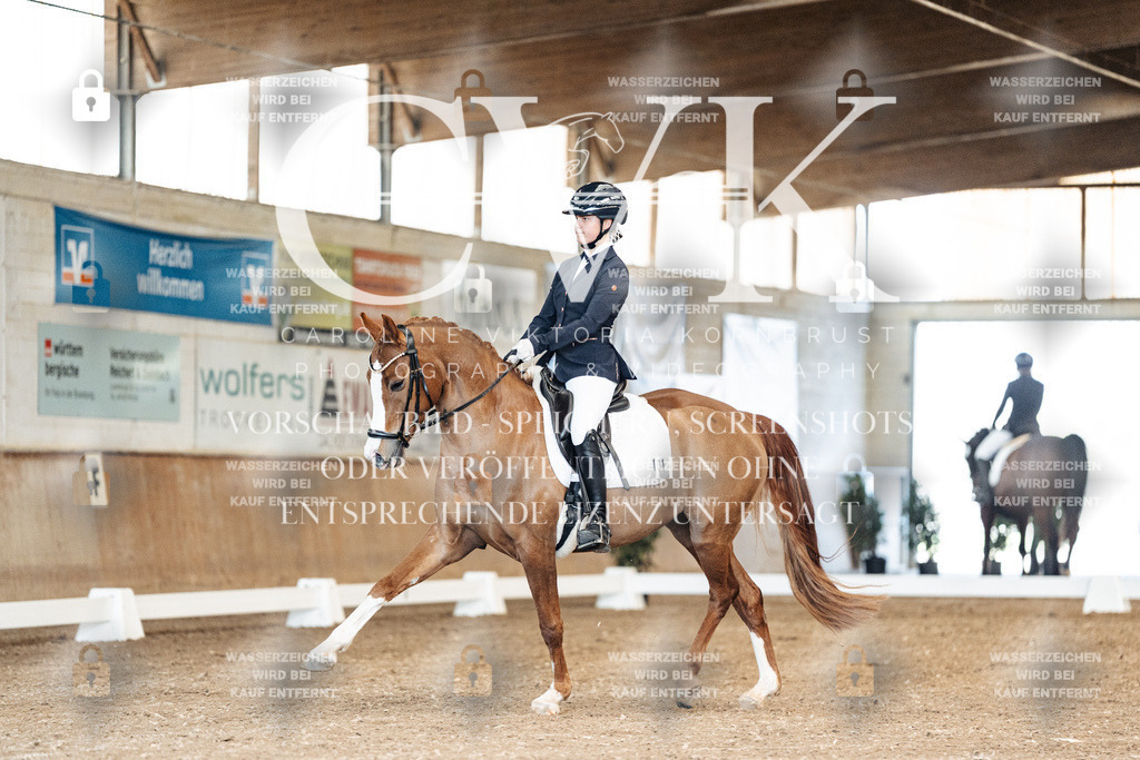 CK900754 | Turnierfotografie Pferdefotografie Trier Rheinland-Pfalz Pferdesport Reitsport Tierfotografie Sportfotografie Pferdevideo Pferdevideografie Equestrianvideography equestrianphotography  - Realisiert mit Pictrs.com
