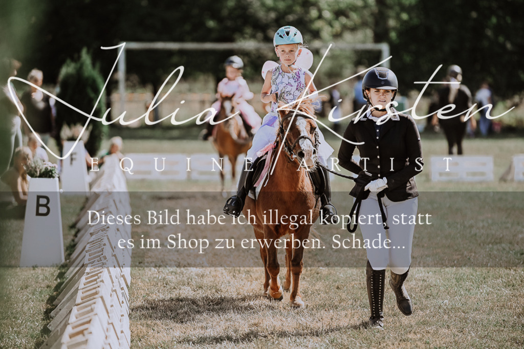 DSC_9010 | Pferde- und Turnierfotografie in Westsachsen. Pferdeportraits, Auftragszeichnungen und intuitive Kunst.