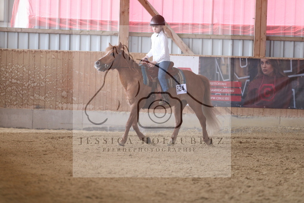 IMG_7410 | jessicahollubetz_pferdephotographie - Realisiert mit Pictrs.com