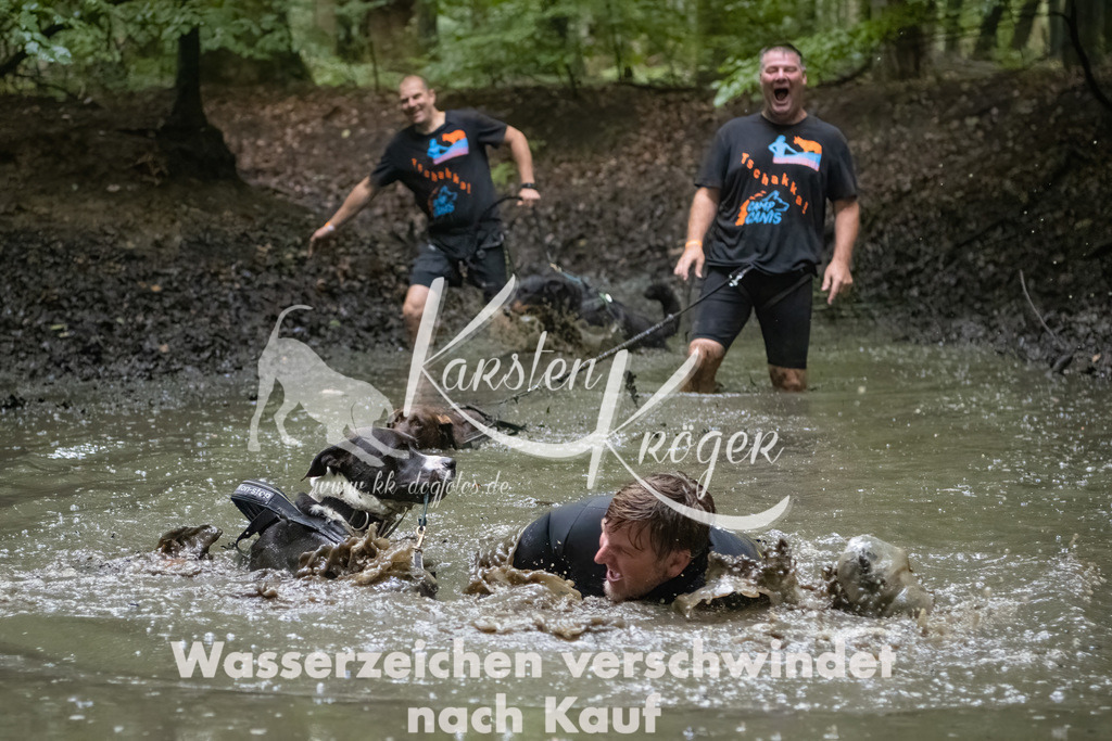 0958_ZZ91652-Bearbeitet | kk-dogfotos