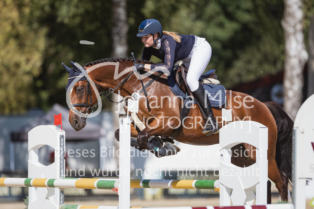 220824_Delbrueck_Stil-M1-213 | Deine schönsten Turniermomente als professionelle Fotos! Entdecke hochwertige Pferdesport-Fotografie im Online-Shop. Jetzt Fotos finden & bestellen!