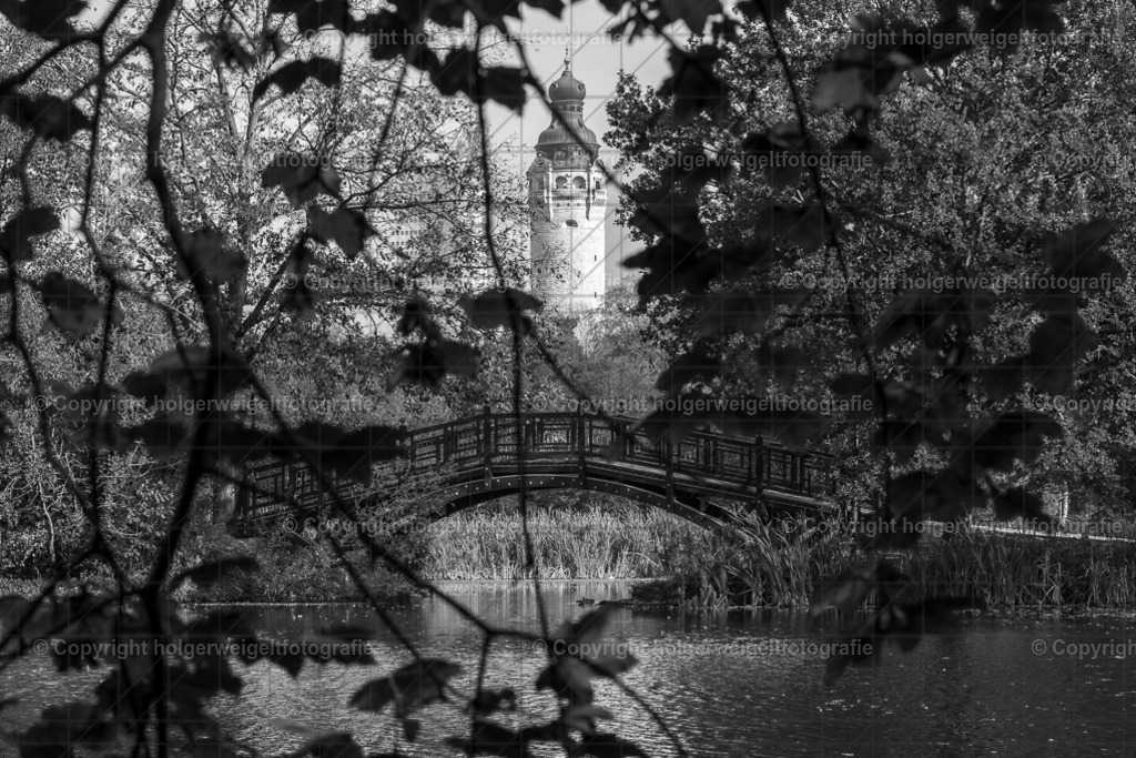 20241101141214D75_7799 | Kaufen sie online außergewöhnliche Fotografien auf Leinwand Acrylglas Fotoprint Aludibond von holgerweigeltfotografie - Realisiert mit Pictrs.com