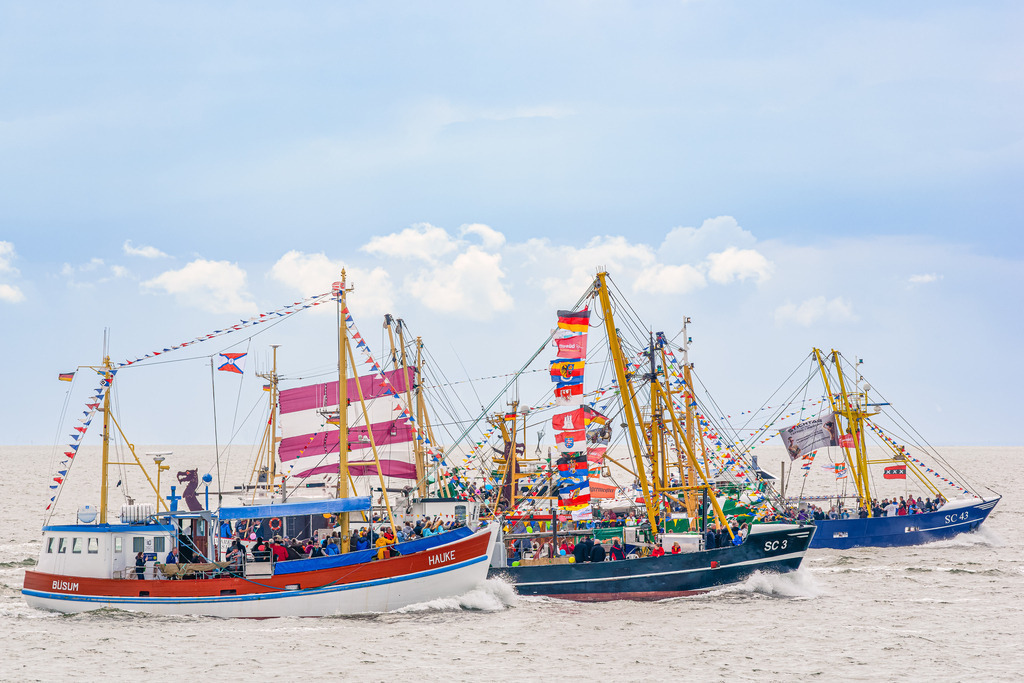 Kutterregatta Büsum | Im Juli findet die Kutterregatta in Büsum statt. Die Kutter nehmen bei dieser Wettfahrt um das Blaue Band von Büsum Fahrgäste mit an Bord. - Realisiert mit Pictrs.com
