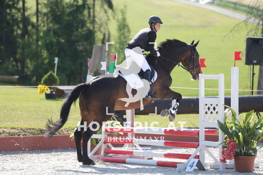 0P6A7133 | Willkommen bei Brunnmayr - Design & Fotografie – Ihrem Spezialisten für Reitturniere und Pferdeveranstaltungen in Oberösterreich, Salzburg und Bayern! Seit über 17 Jahren sind wir leidenschaftlich dabei.