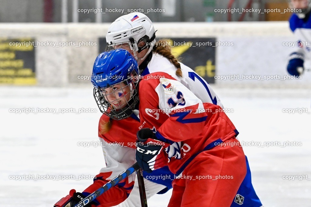 BST_5768 | hockey sports photos, Pressefotos, Sportfotos, hockey247, win 2day icehockeyleague, Handball Austria, Floorball Austria, ÖVV, Kärntner Eishockeyverband, KEHV, KFV, Kärntner Fussballverband, Österreichischer Volleyballverband, Alps Hockey League, ÖFB, 
