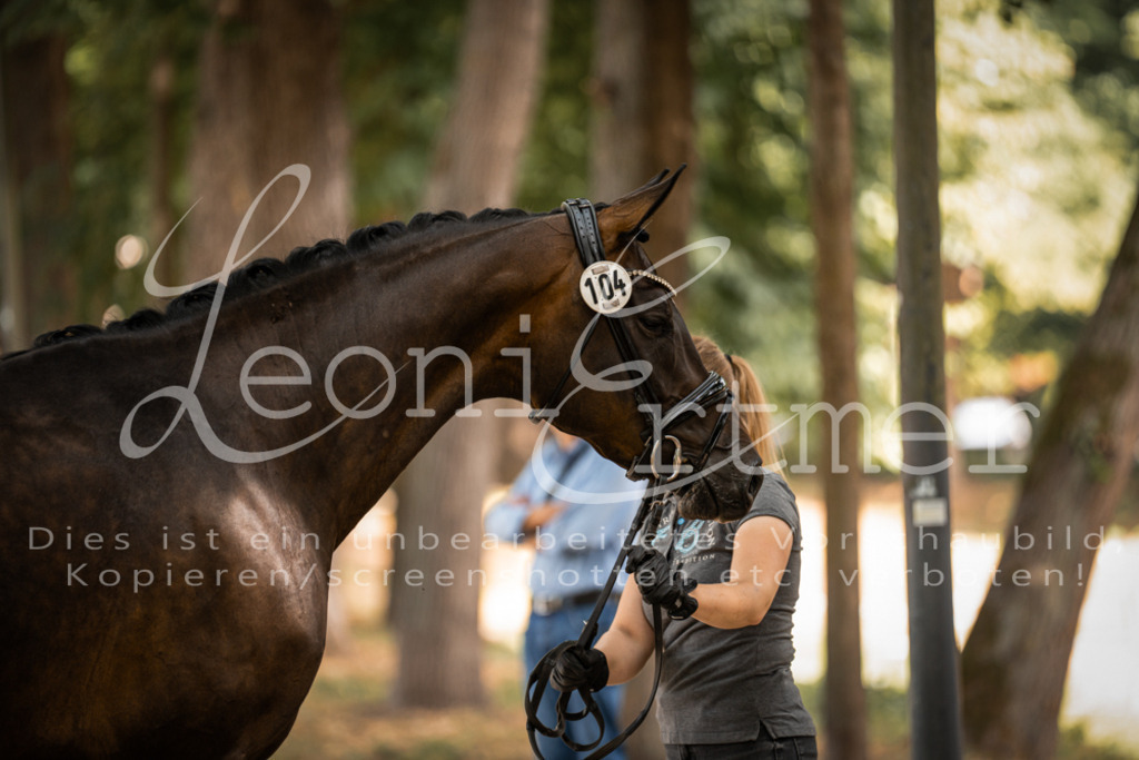 FrPfM00171 | Leoni Ertmer Photography - Realisiert mit Pictrs.com