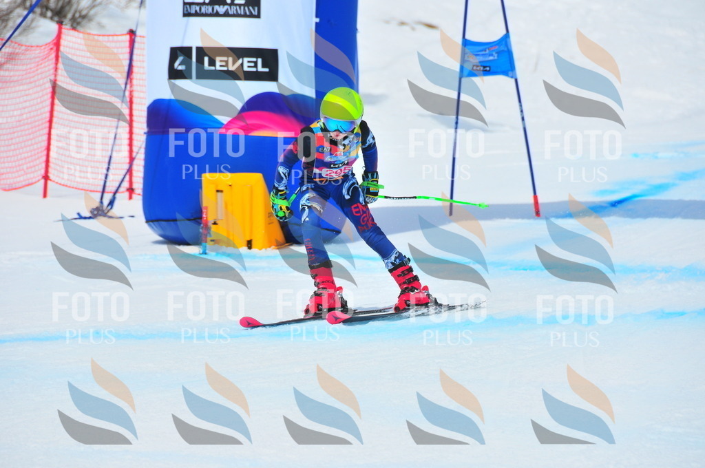 DSC_6498 | holidayphoto