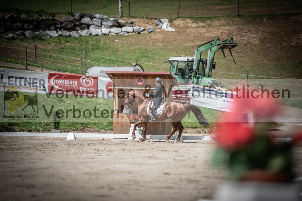 DSC_2592 | equestrian-live-com