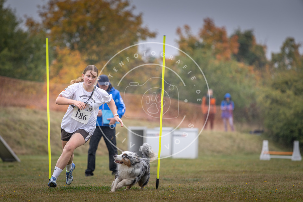 Pfotenfotografie_DV3A0121 | Hundefotografie, Tierfotograf, Pfotenfotografie, Fotoshooting Hund, Hunde Portrait, Hundesport, Hundeportraits, Heideshooting, Hunde, Sportfotograf, Hundefotograf, Turnierhundsport, THS,  - Realisiert mit Pictrs.com