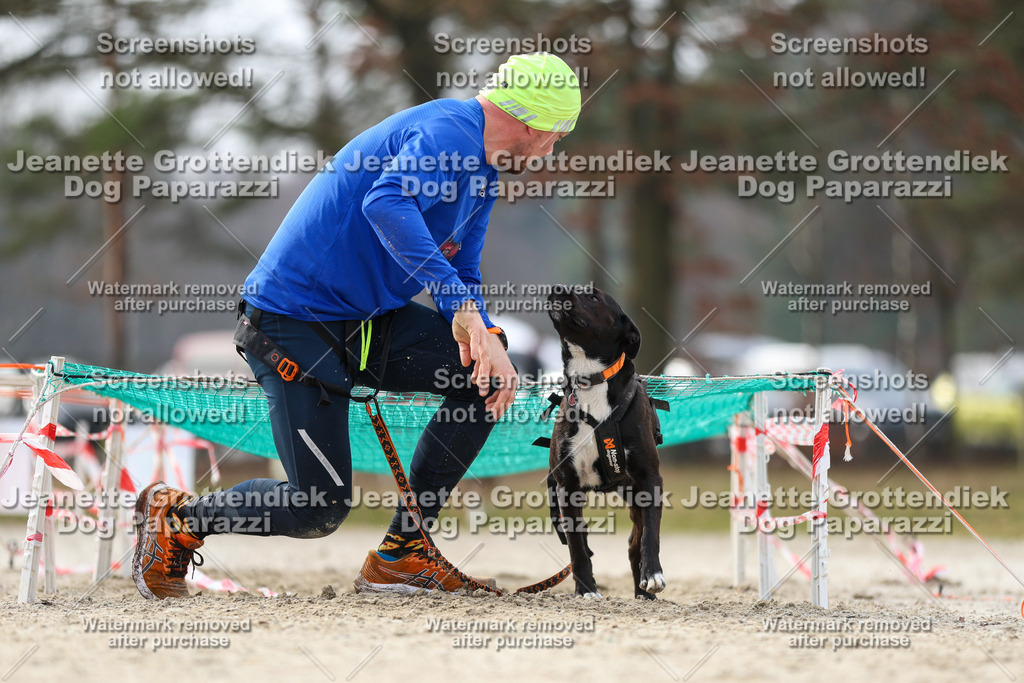 Dog Paparazzi - Strongdog North Mrz26-5217 | Dog Paparazzi Jeanette Grottendiek Fotografie & Videografie - Realisiert mit Pictrs.com