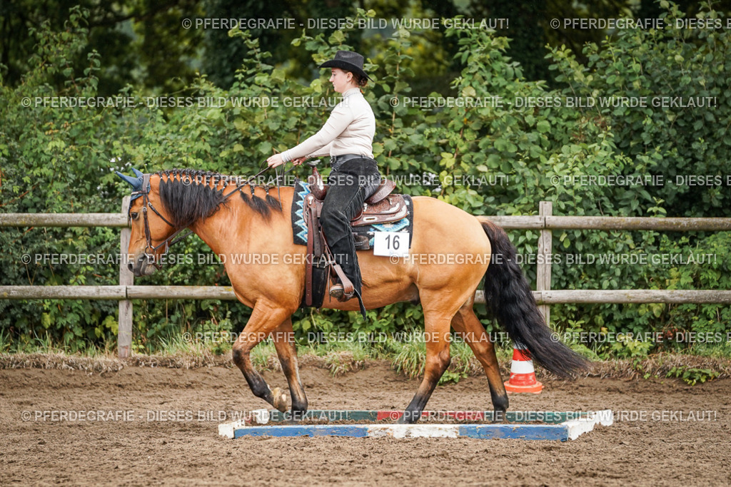 DSC04455 | Pferdegrafie